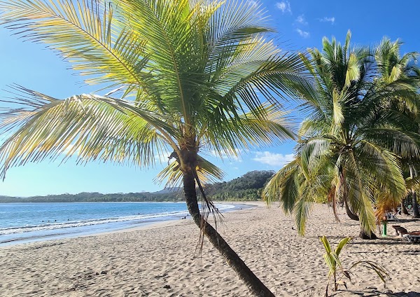 Playa Carrillo