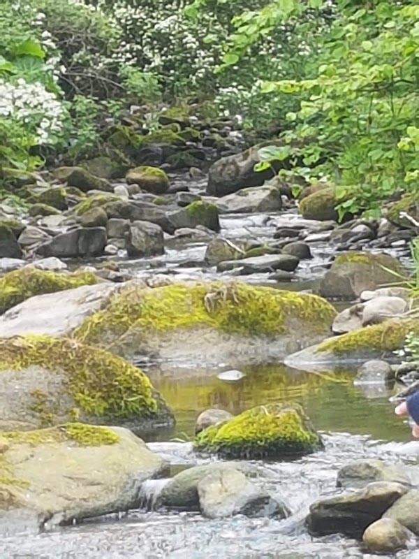 Ickornshaw Beck