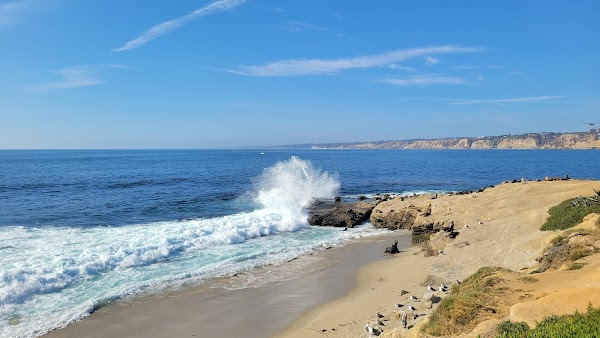 Scripps, Ellen Browning Park 5