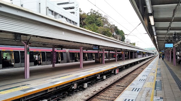 Tai Po Market 1