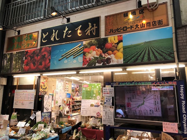 Ōyama Happy Road Shopping Street 5