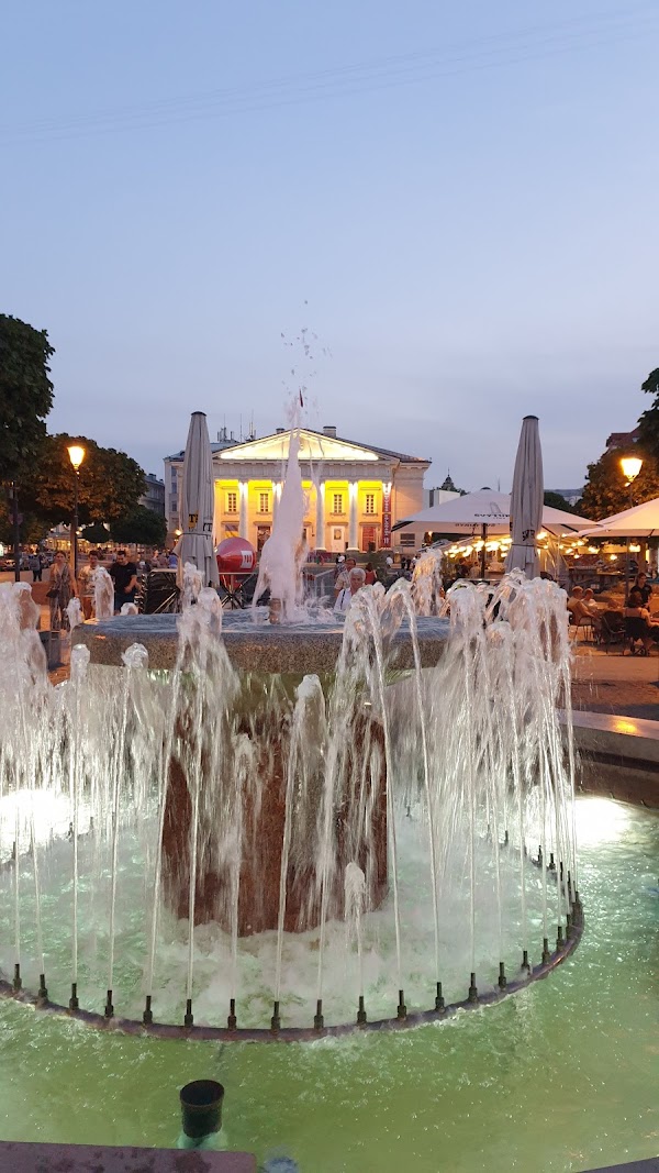 Vilnius 5