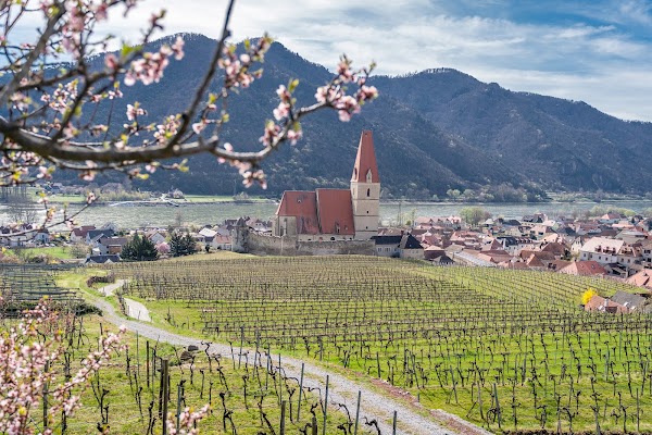 Weißenkirchen in der Wachau
