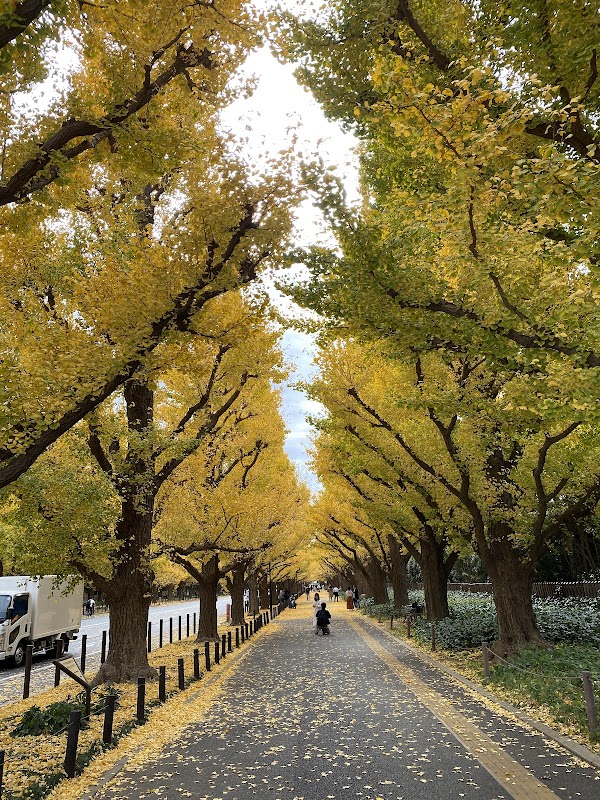 Meiji Jingu Gaien 1