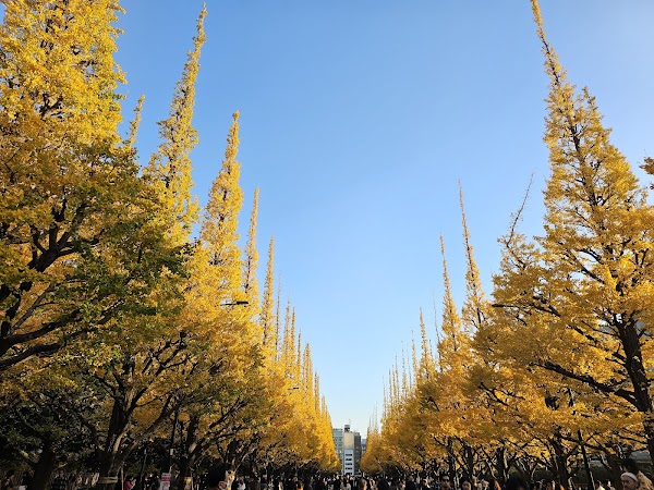 Meiji Jingu Gaien 5