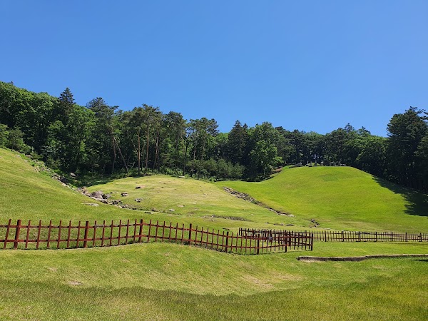 Gwangneung Royal Tombs 3