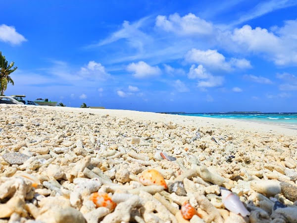 Dharavandhoo hanifaru Bay Beach