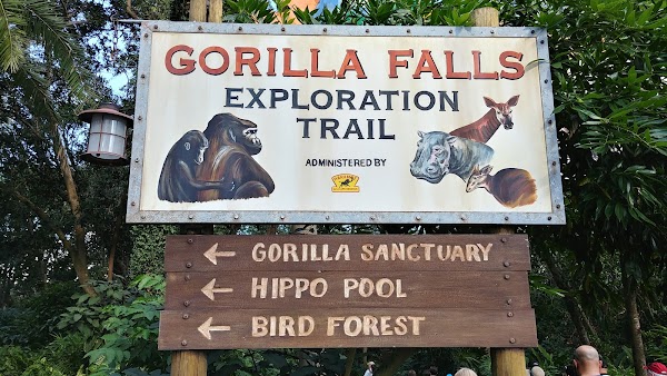 Gorilla Falls Exploration Trail 1