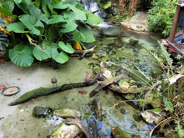 Gorilla Falls Exploration Trail 2