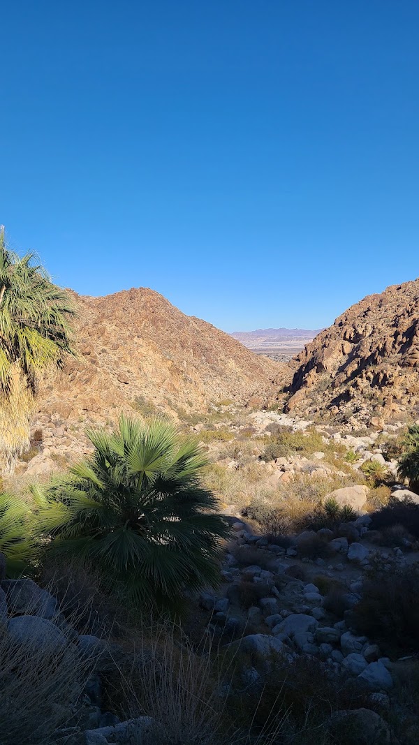 Fortynine Palms Oasis Trail 1