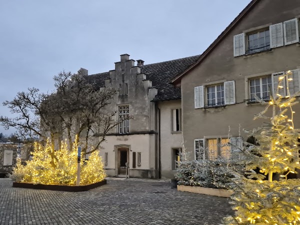 Schloss Laufen 4
