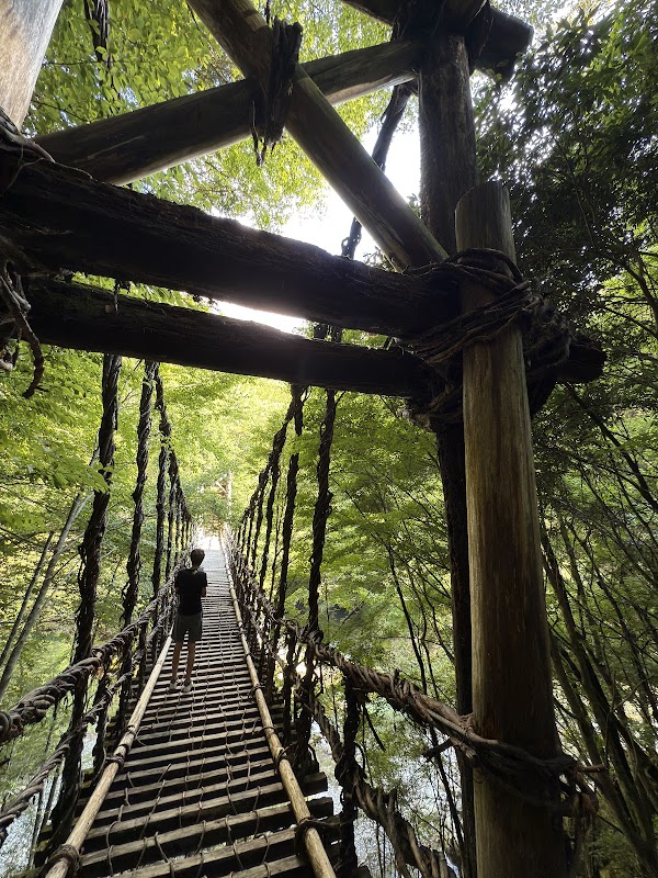 奥祖谷二重かずら橋 5
