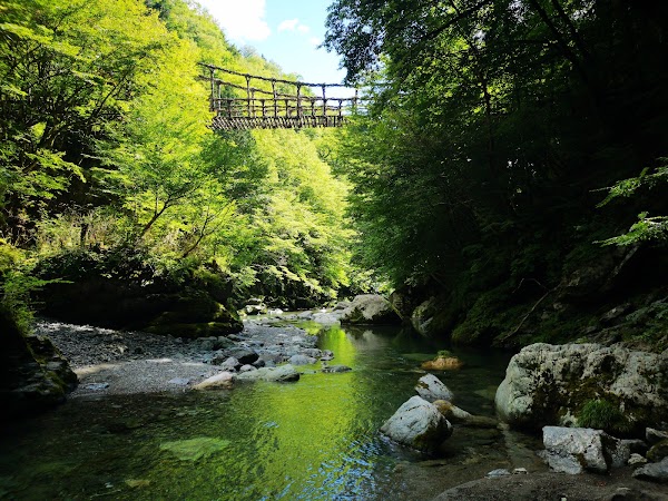 奥祖谷二重かずら橋 4