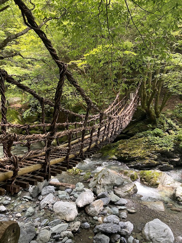 奥祖谷二重かずら橋 3