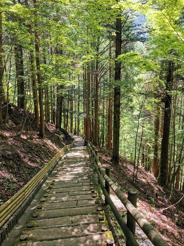 奥祖谷二重かずら橋 2