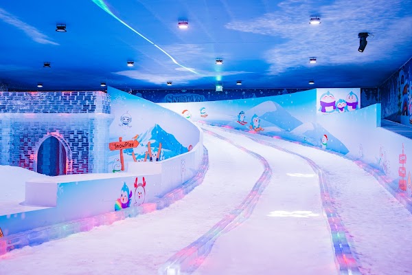 Snowyn Wonderland