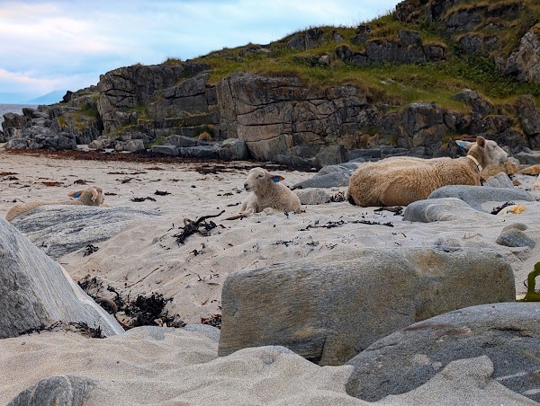 Sandvika strand i Børra 1