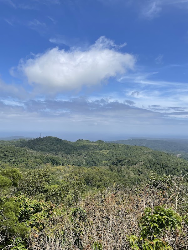 Mt. Bandilaan National Park