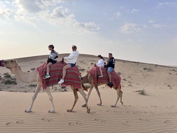 Emirates Tours & Safari LLC | Best Desert Safari in Abu Dhabi and City Tours 5