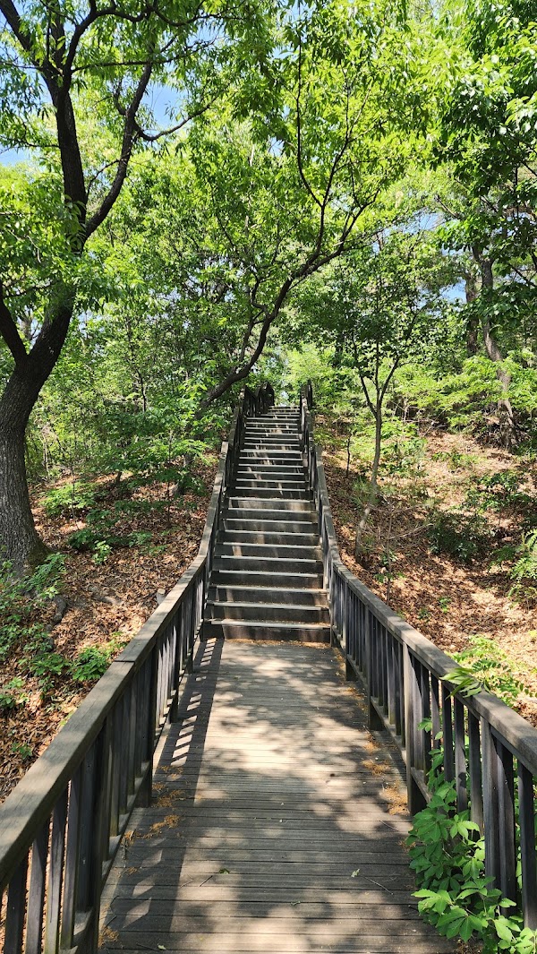 Seoul Forest Namsan Road 1
