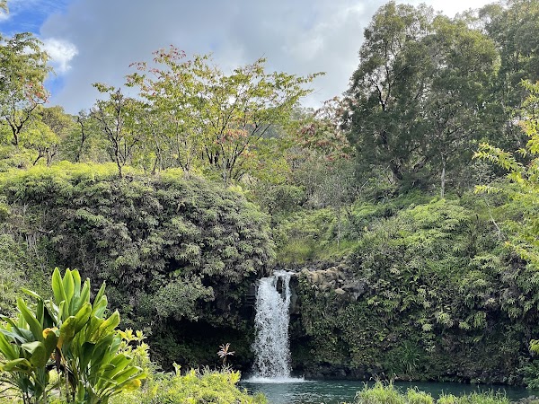 Hawaii 14