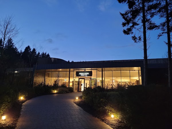 Aqua Sana Forest Spa County Longford
