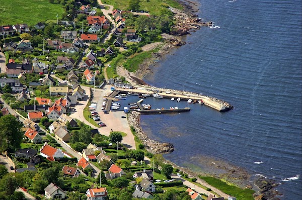 Arild