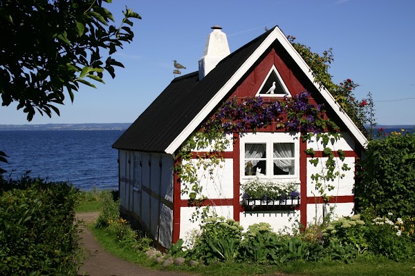 Arild 4