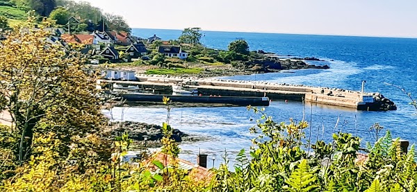 Arild 2