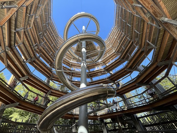 Treetop Walk Black Forest 5