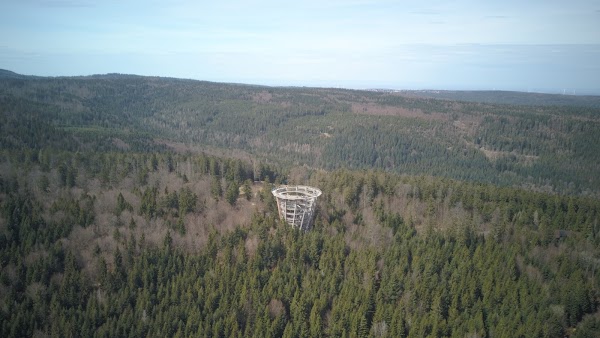 Treetop Walk Black Forest 2
