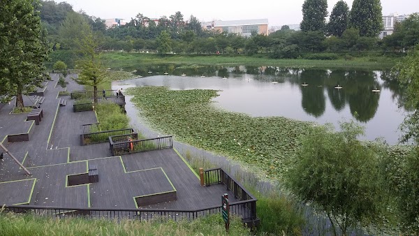 West Seoul Lark Park 5