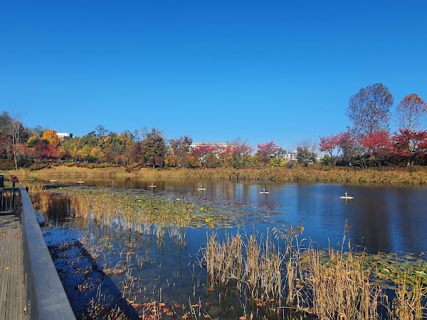 West Seoul Lark Park 4