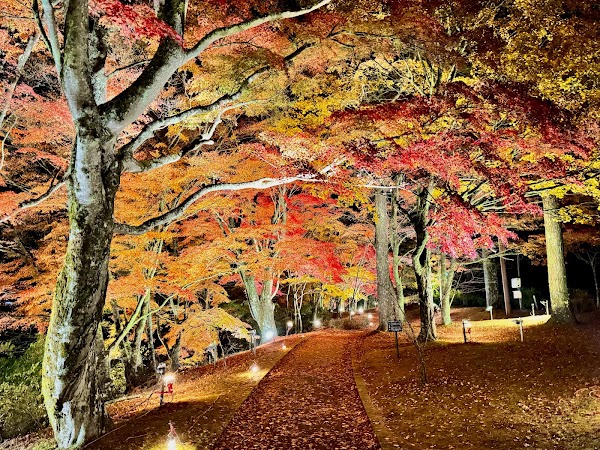 Asahigaoka Lakeside Greenspace Park