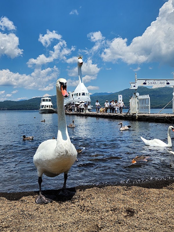 Asahigaoka Lakeside Greenspace Park 2