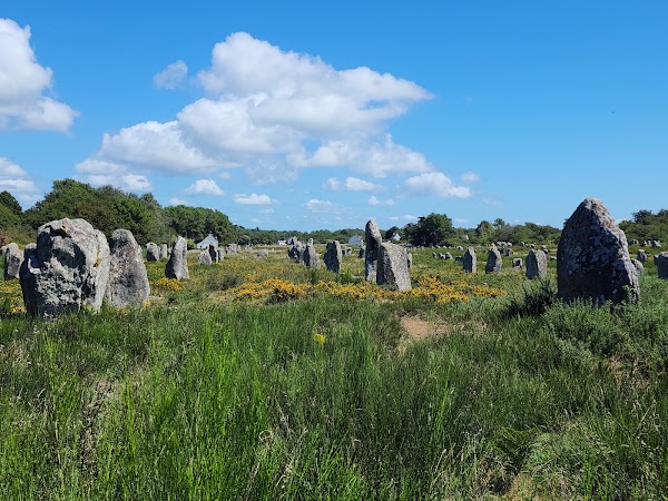 Alignements of Carnac 1