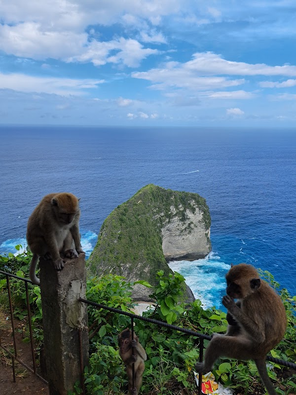 Kelingking Beach Nusa Penida Bali 3