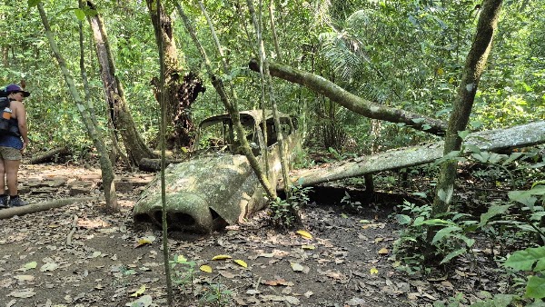 Parque Nacional Corcovado 2