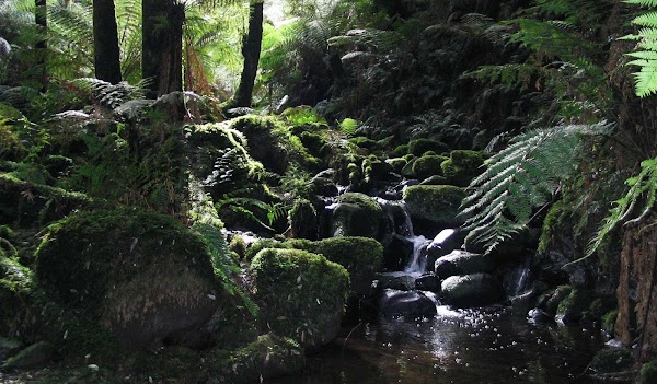 Sherbrooke Falls 1