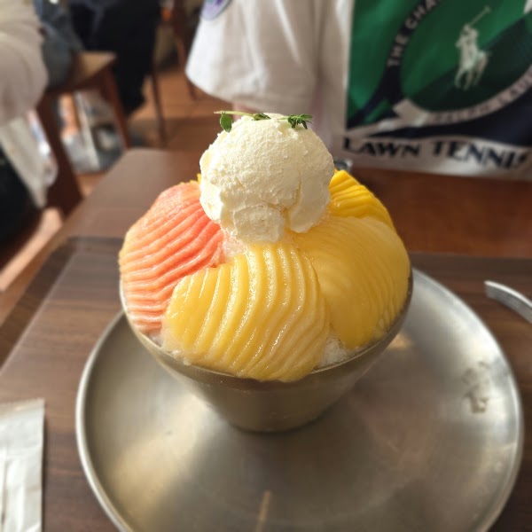 미스틱래빗 4