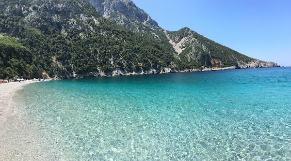 Θαψά