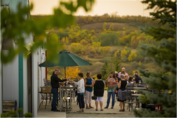 Over the Hill Orchards and Winery 1