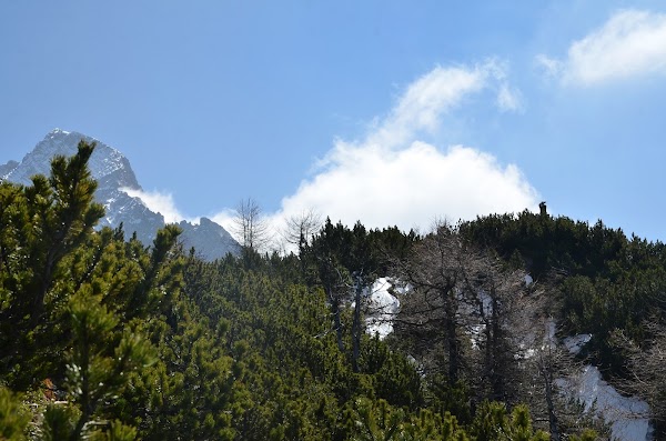 Veliki Vrh