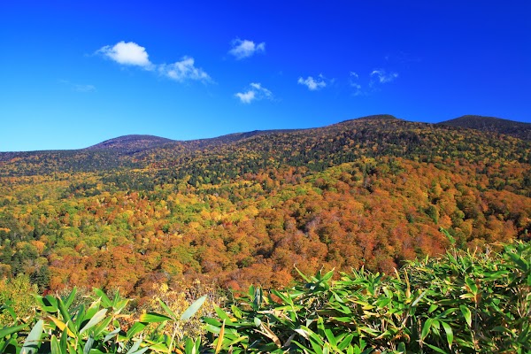 Nishi Azuma Sky Valley ( scenic drive road)