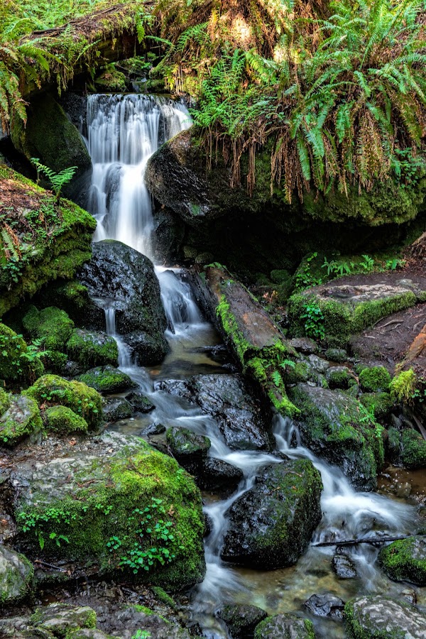 Trillium Falls Trail