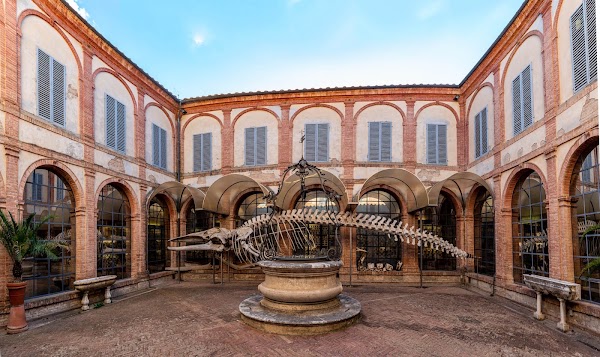 Musei dell’Accademia dei Fisiocritici 5