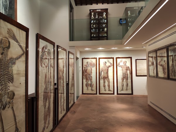 Musei dell’Accademia dei Fisiocritici 2