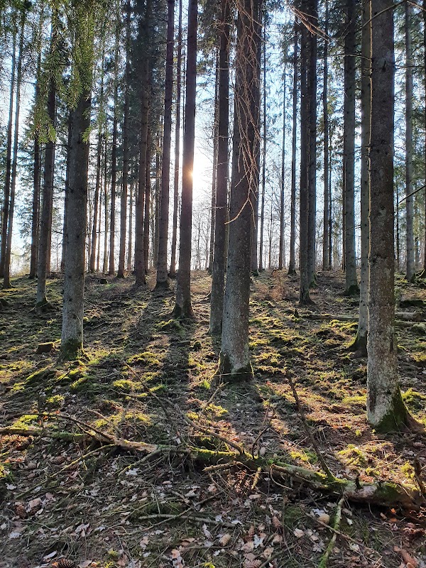 Frostavallens Strövområde 1