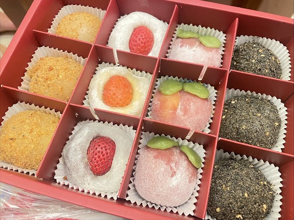 Rui Jia Mochi 4