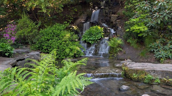 South Maui Gardens 5